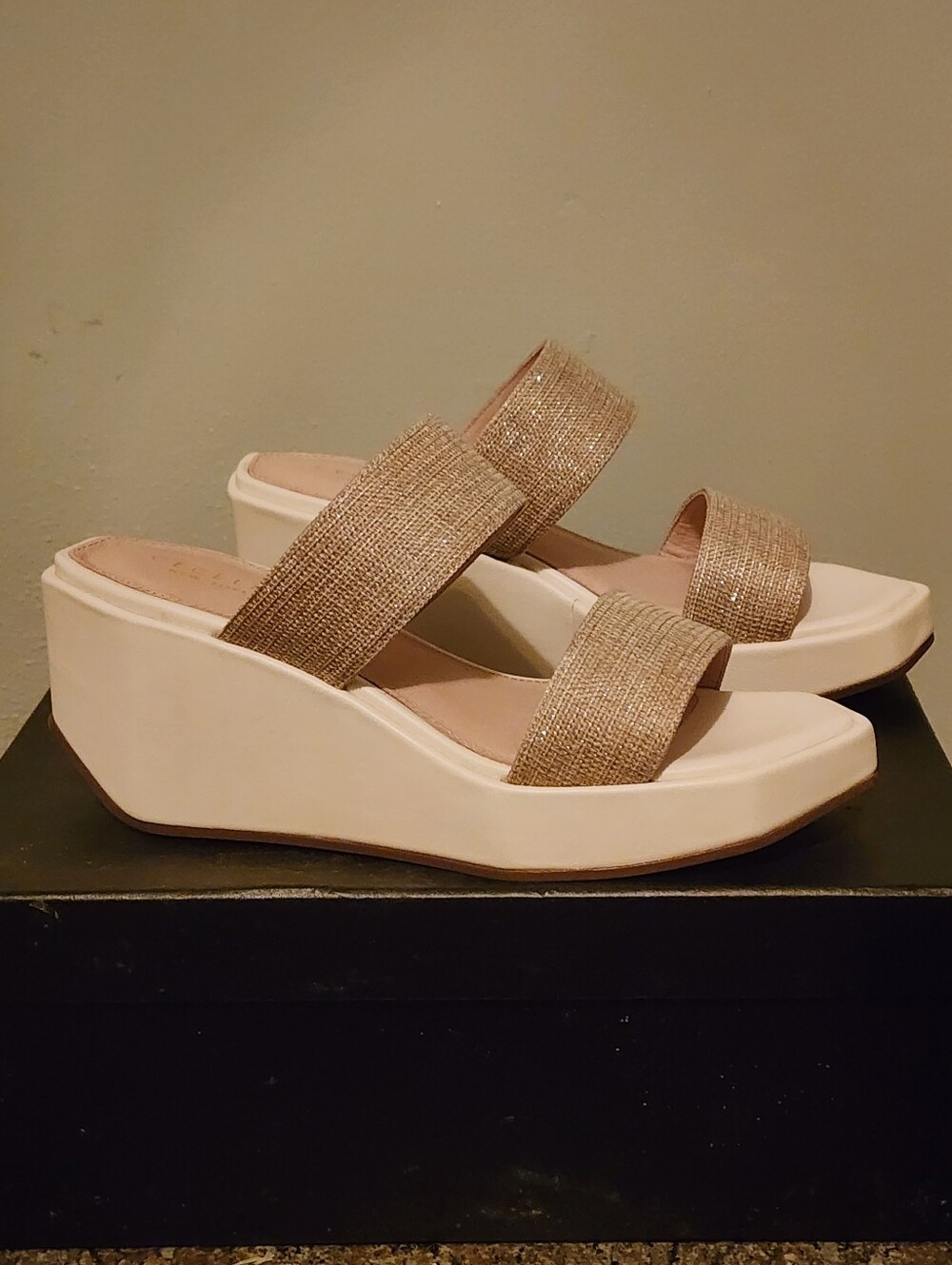 NIB Cecelia Baily Wedge
